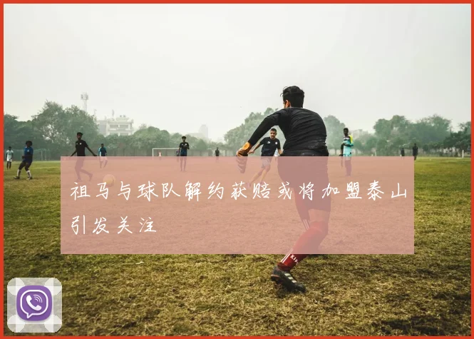 祖马与球队解约获赔或将加盟泰山引发关注