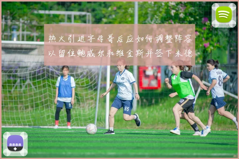 热火引进字母哥后应如何调整阵容以留住鲍威尔和维金斯并签下米德尔顿