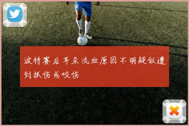 波特赛后耳朵流血原因不明疑似遭到抓伤或咬伤